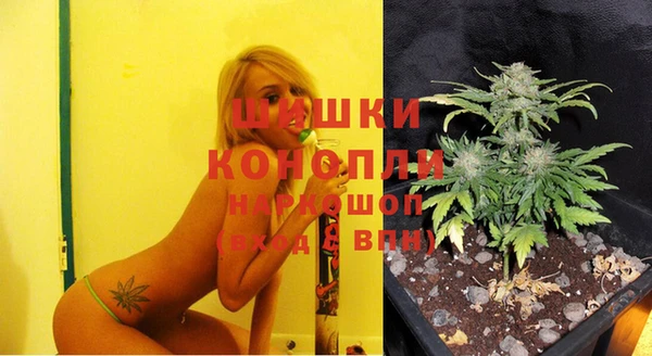ГАЛЛЮЦИНОГЕННЫЕ ГРИБЫ Арсеньев