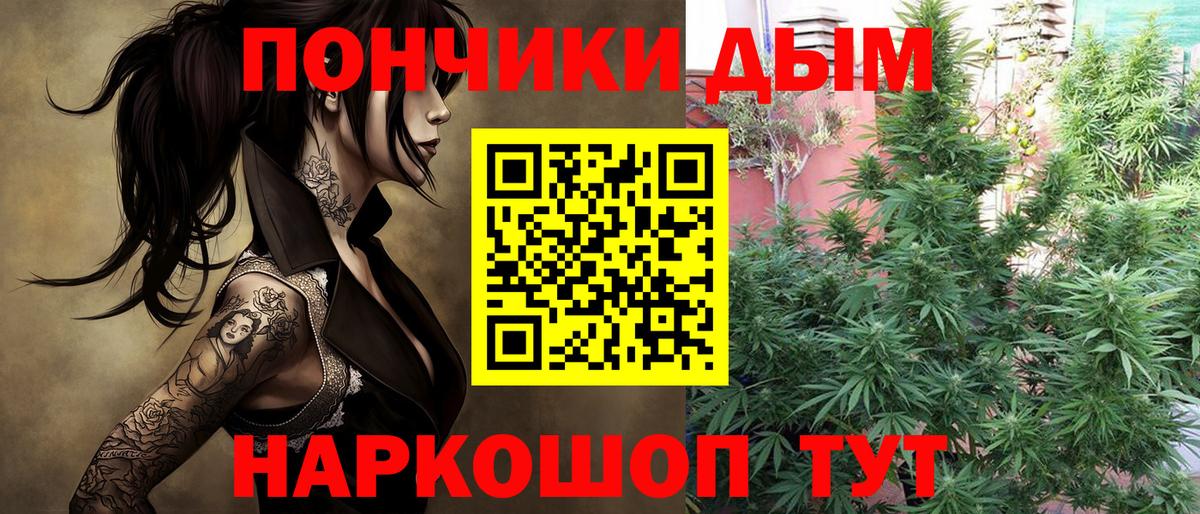 Бошки Шишки ГИДРОПОН  Вход с VPN  Конопля Amnesia  Строитель  МАРИХУАНА VHQ 